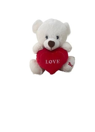 Valentine Love Bear 25cm