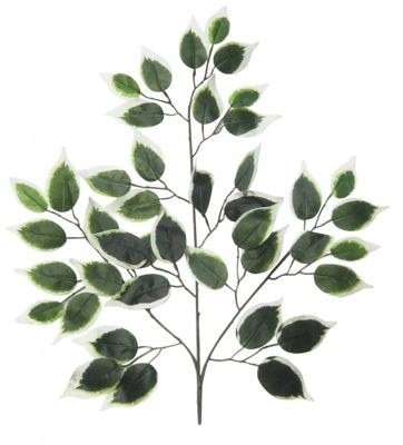 Artificial Ficus Branch Varigated Green 42Lvs