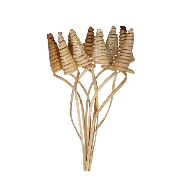 Pick Swirl Cane Cone Natural 50cm x10