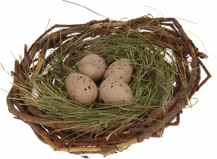Nest With 4 Eggs (20cm)