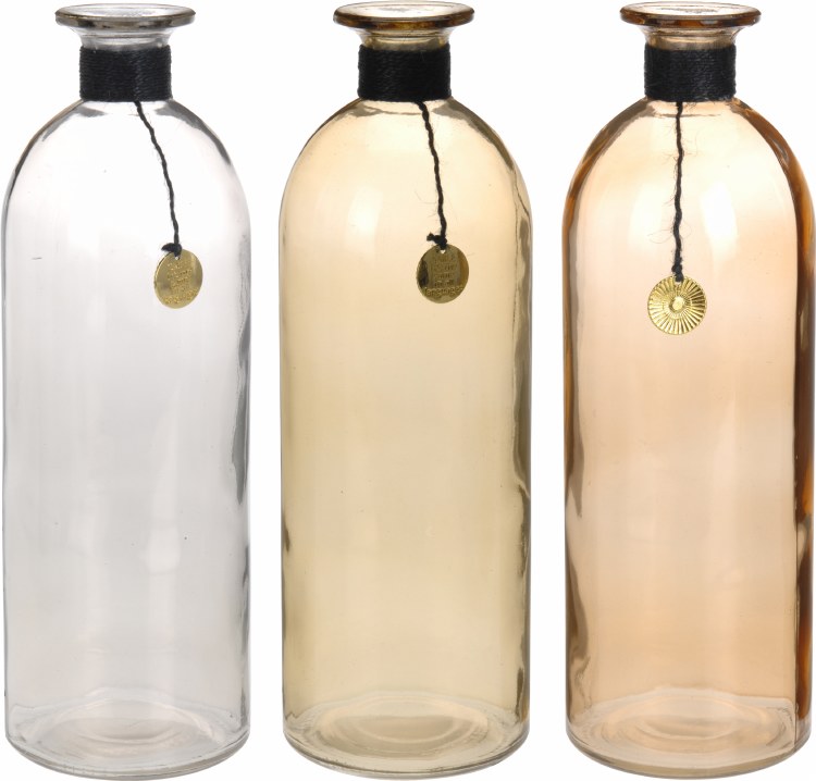 Bottle Glass Assorted (20cm)