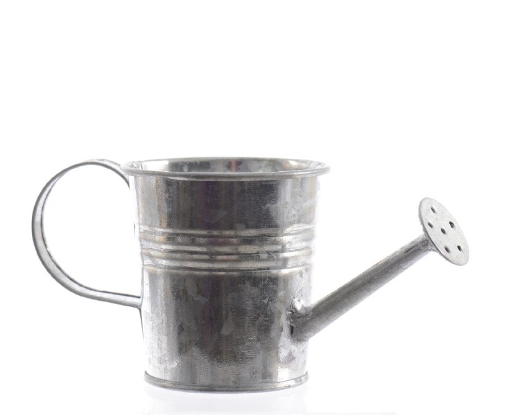 zinc watering can