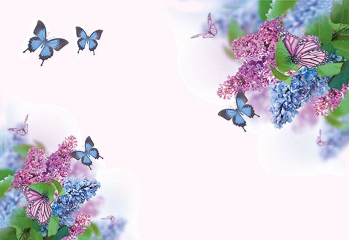 Card Blank - Butterflies Blue Flower