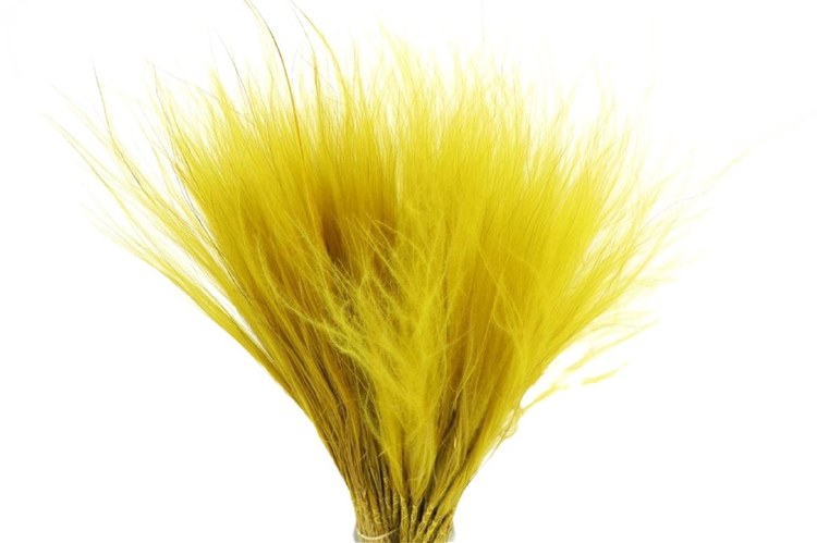 Dried Stipa Feather Yellow