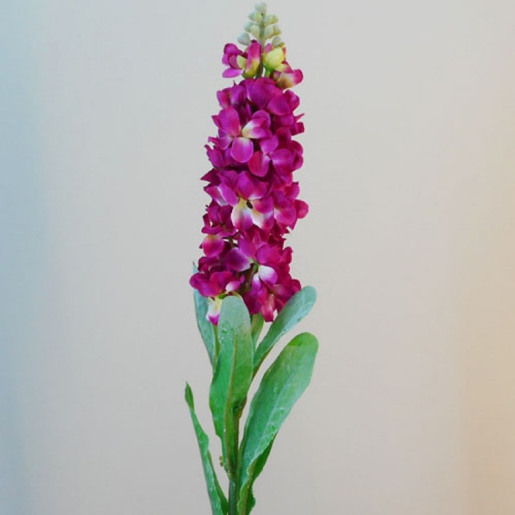 Artificial Stock Single Beauty (80cm)