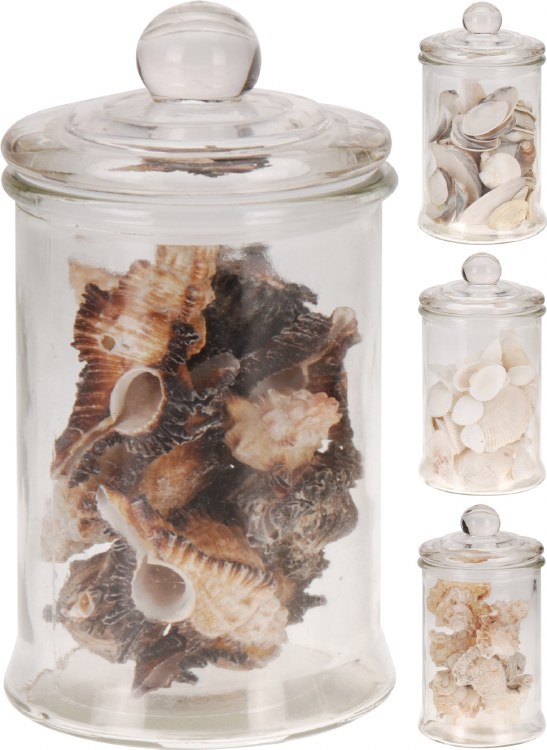 DECORATION SHELLS IN GLASS POT