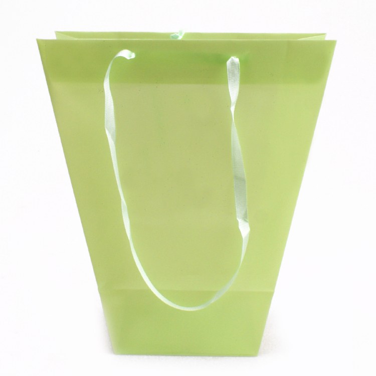 Carrybag Plastic Uni Apple Green(24/11x12/11x28cm)