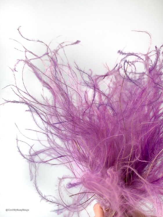 Dried Stipa Feather Purple