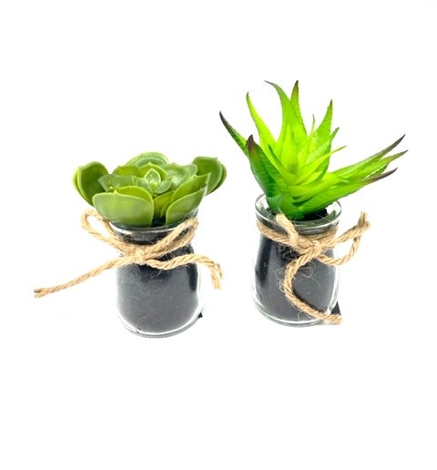 Artificial Succulent in pot green Assorted(11cm)