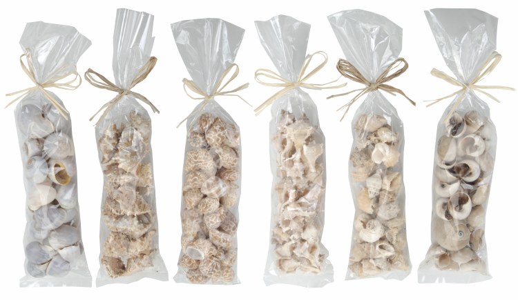 Shells In Opp Bag With Raffia