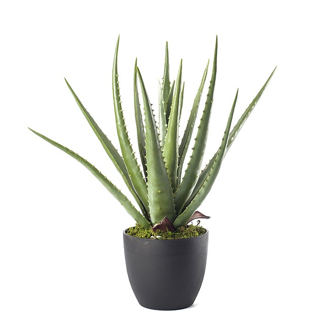 Plastic Aloe in pot (47cm)