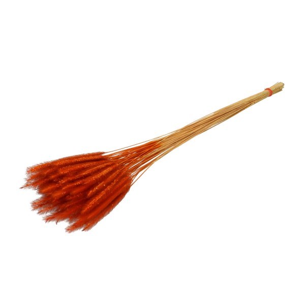 Dried Silk Worm Soft Orange 50cm