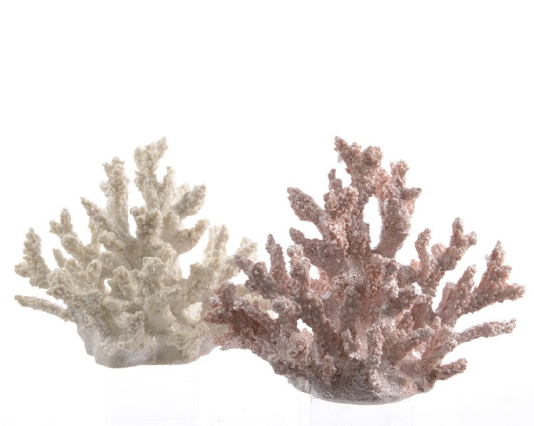 poly coral 2col ass