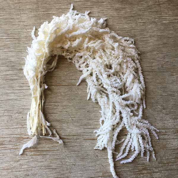 Dried Bunch Amarantus Caudatus Pres. Bleached 80cm