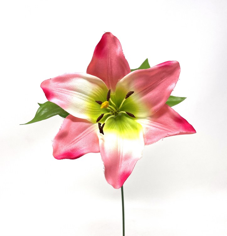 Artificial Day Lily Pick Pink Box x24