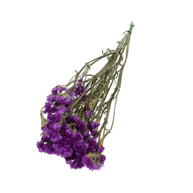 Dried Limonium Statice Purple 70cm