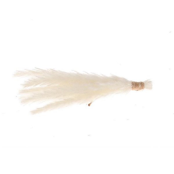 Dried Hanger fluffy White 25cm