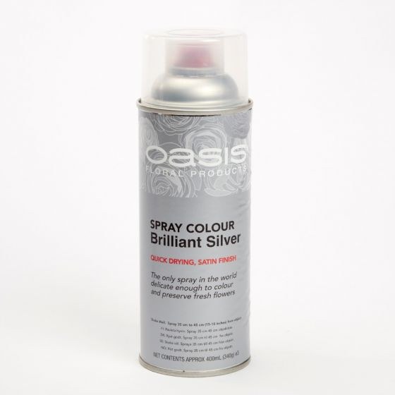Spray Colour - Brillant Silver
