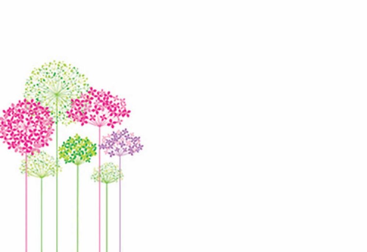 Card Blank - Multi-Coloured Hydrangea x50