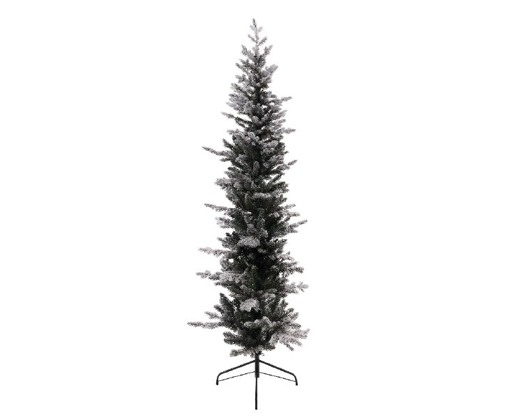 Snowy Calgary Pencil Pine 210cm (Display)