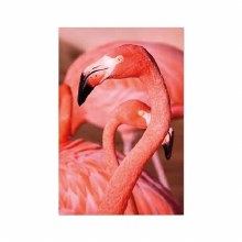 plastic banner flamingo