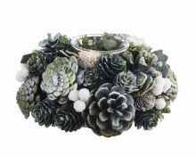 pinecone tlighth 1cup