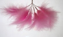 Fluff Feathers Pale Pink