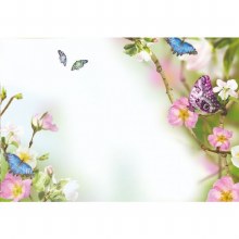 Card Blank - Butterflies and Flowers x50