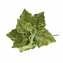 Xmas Velvet Poinsettia w Glitter Edge 24cm Green