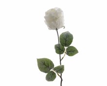 silk rose w snow on stem pack