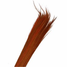 Dried Grain grass Orange 100cm