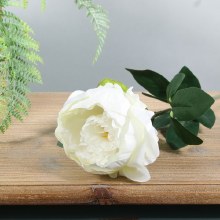 Artificial Arundel Single Garden Peony Ivory