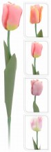 Artificial Tulip Assorted (64cm)
