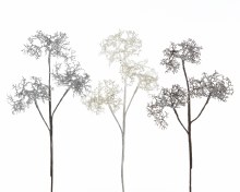 plc spray with ice finish 3cls