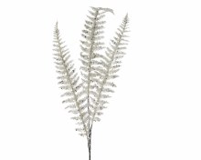 plc fern leaf spray