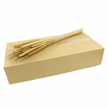 Dried Typha 70cm x10