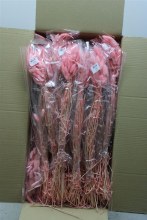Dried Lagurus Light Pink