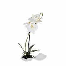 Orchid on tray white - l17xb10