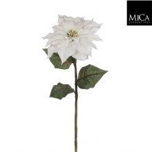 POINSETTIA SPRAY H71 WHITE