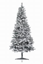 Snowy Canadian Pine 210cm (Display)