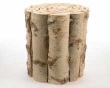 Bark pillar wood slice