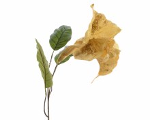 silk trumpet flower on stem m