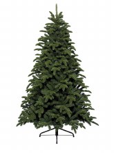 Noble Pine 300cm