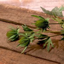 Artificial Thistle Spray Green (66cm)