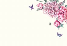 Card Blank Antique Flowers and Butterflies x50