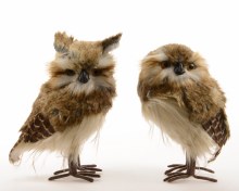 foam owl with pluche 2ass