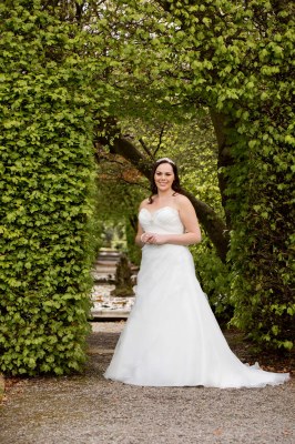 Special Day BB20103