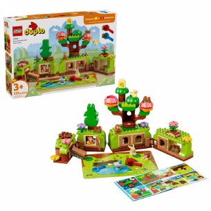 Discovery Forest with Animals