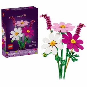 Cosmo Flowers