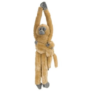 Hanging Langur with Baby